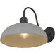 Levitt 1 Light 11.63 inch Natural Black Outdoor Wall Light in Natural Gray